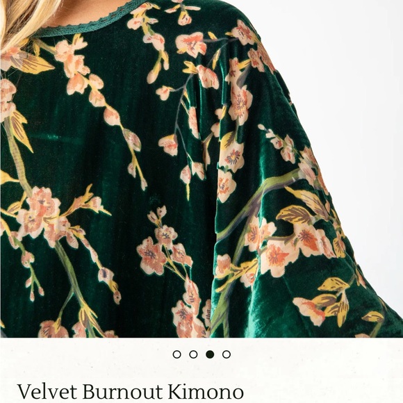 NATURAL LIFE Elegant Black Burnout Velvet Floral Kimono - Picture 12 of 15